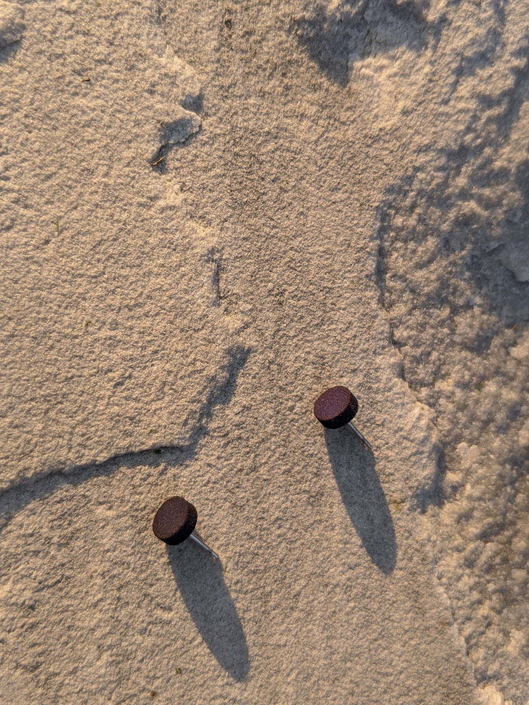 PUCE RONDELLE – nommée GEN