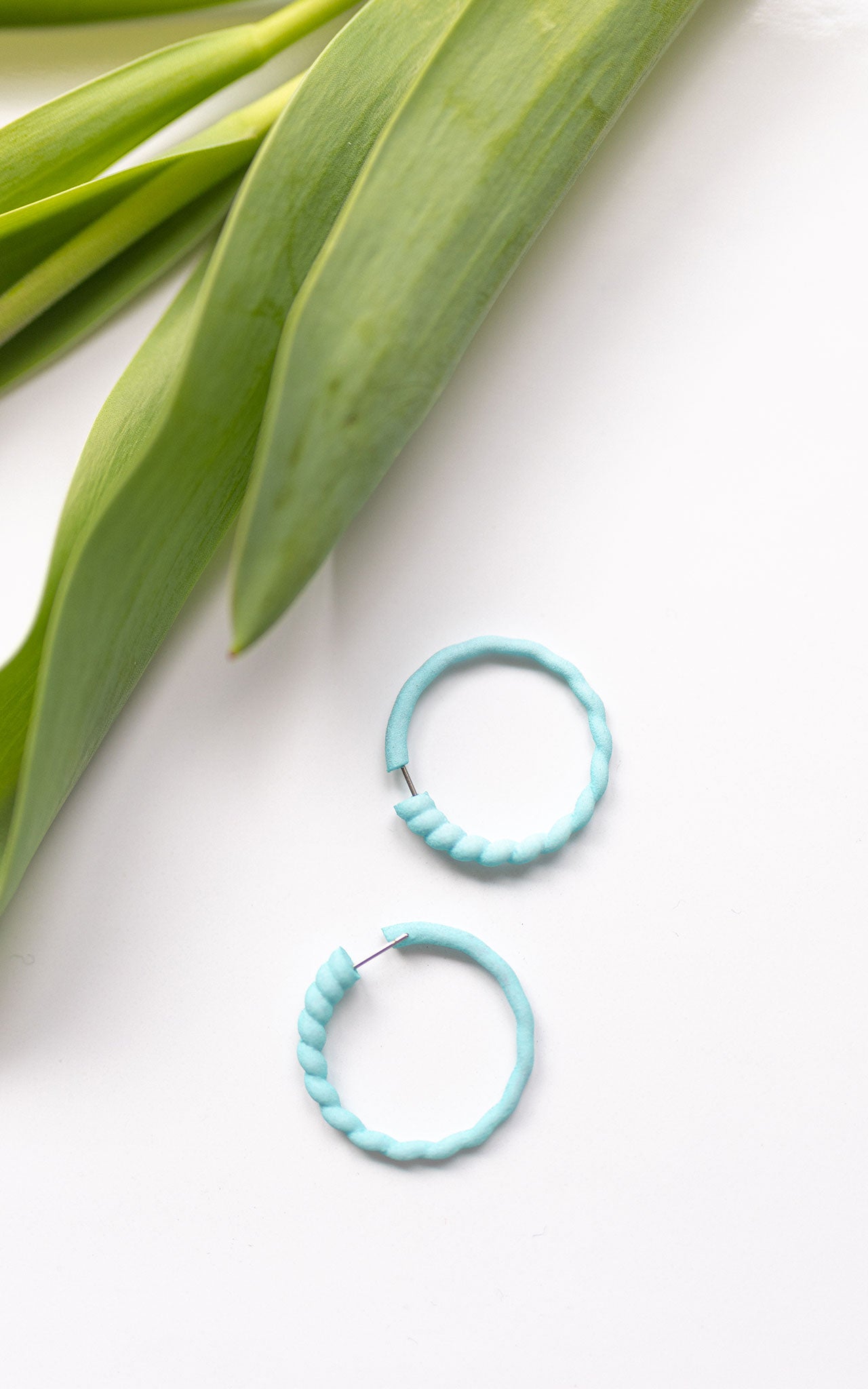 Small Crescent Rings Scoquillage