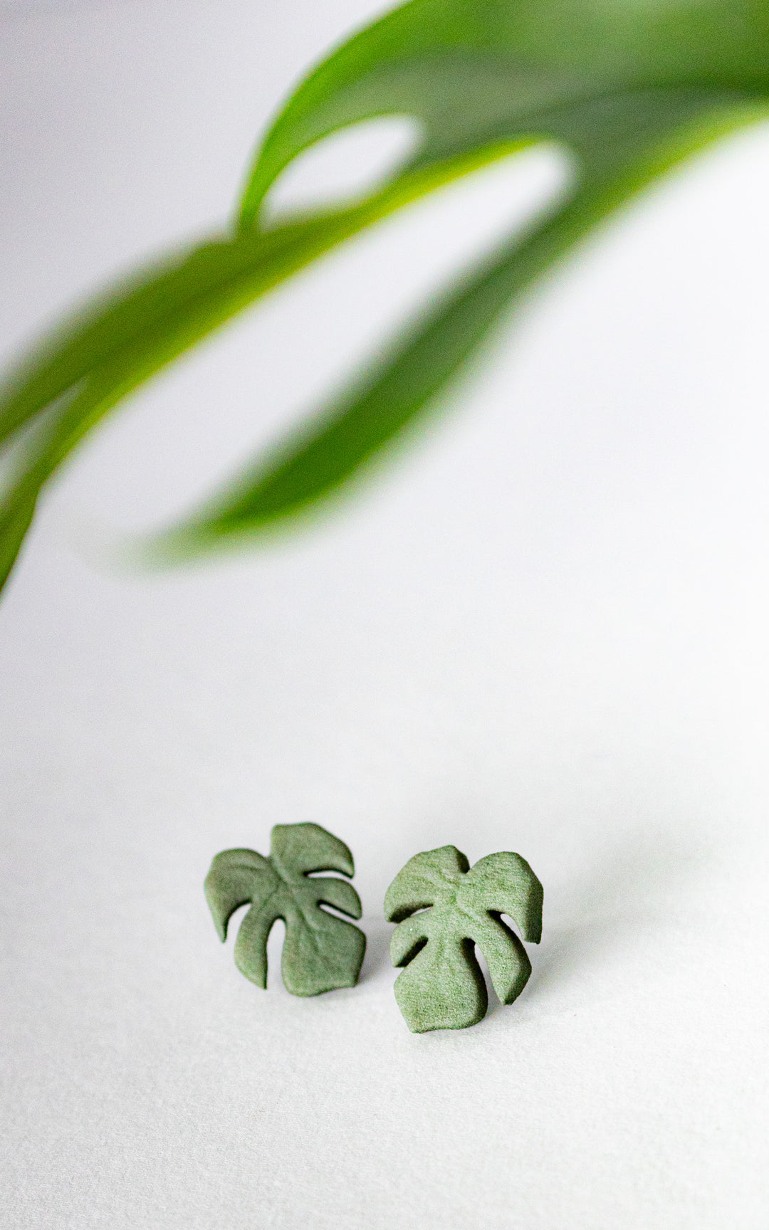 Vue de face des puces d’oreilles en forme de feuille de Monstera, modèle MAUI. Leur design épuré met en valeur les nervures stylisées de la feuille, symbole de fraîcheur et de style botanique.
Chaque boucle est imprimée en 3D à partir de nylon recyclé, puis teintée à la main dans une douce teinte de vert végétal. Un bijou minimaliste, ultraléger et fait au Québec, parfait pour un look naturel et contemporain.